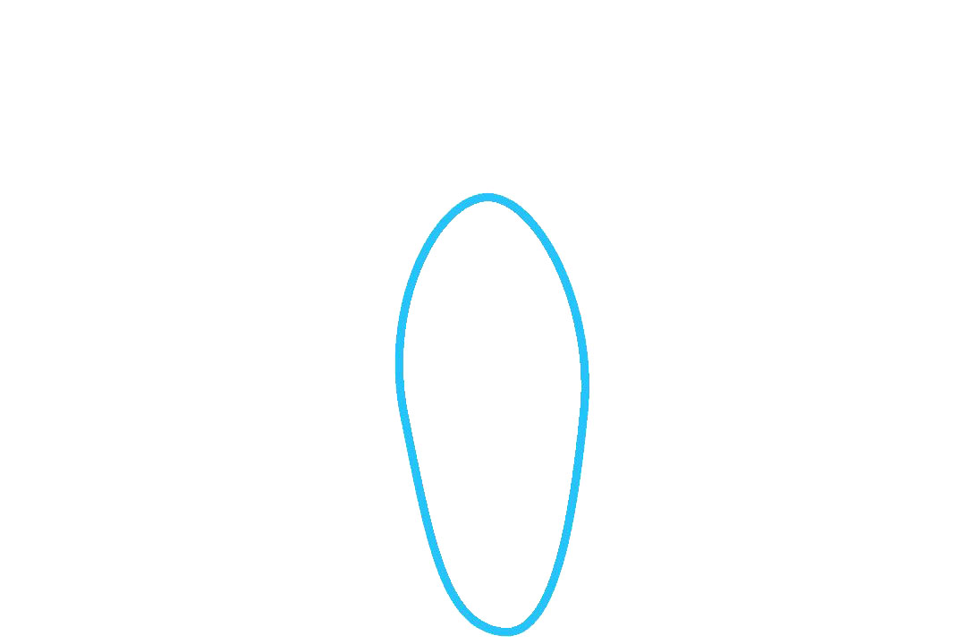 南瓜的绘画教程-图1