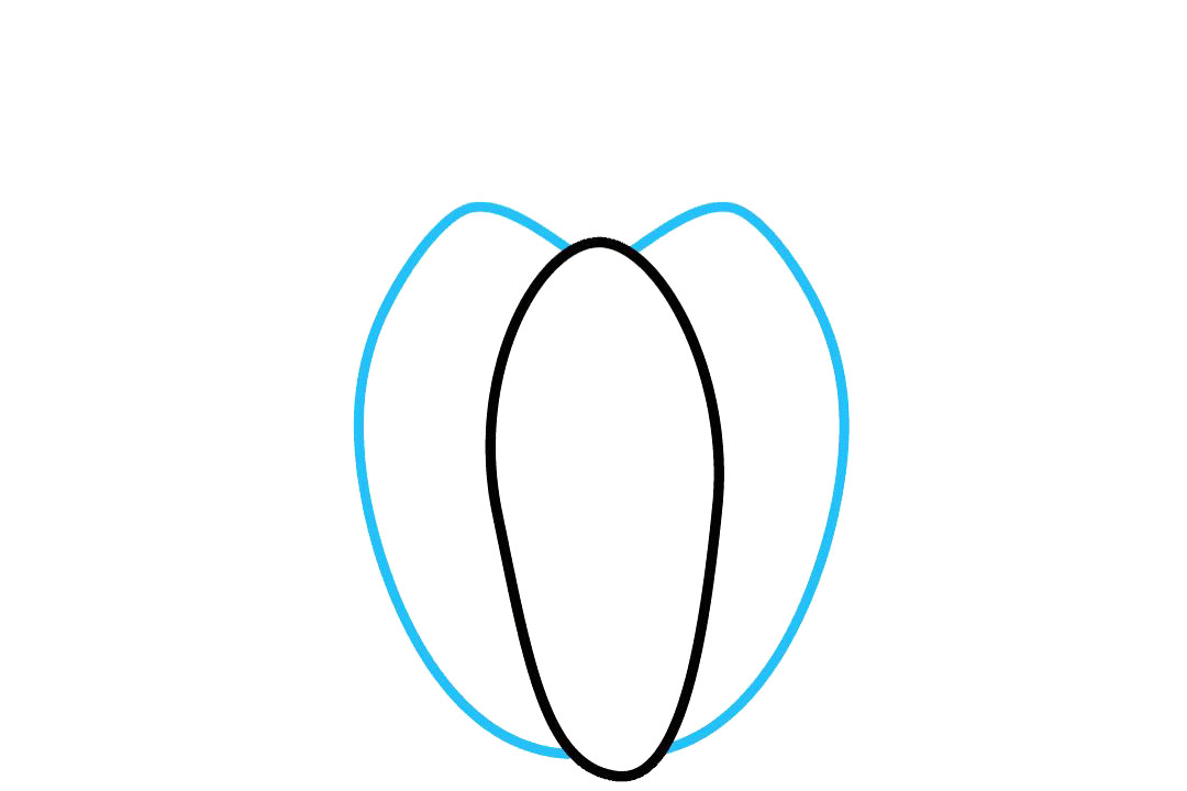 南瓜的绘画教程-图2