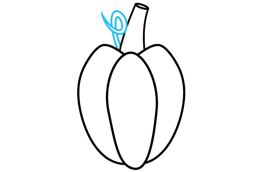 南瓜的绘画教程-图5