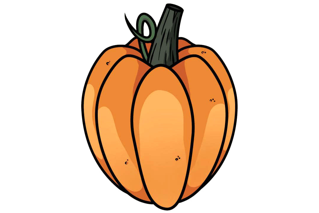 南瓜的绘画教程
