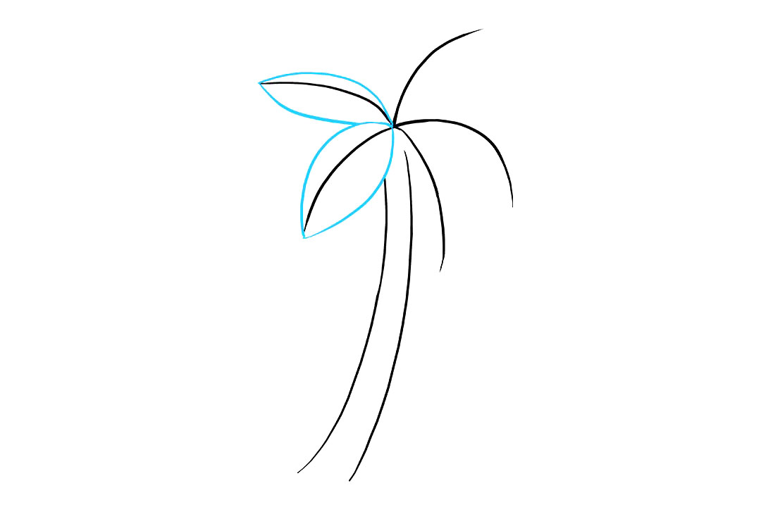 棕榈树怎么画-图3