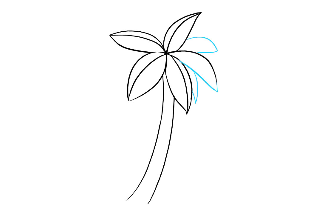 棕榈树怎么画-图5