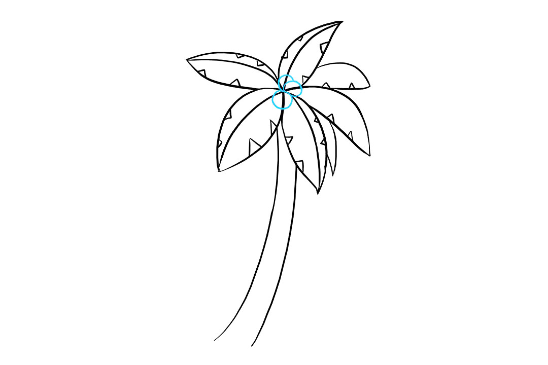 棕榈树怎么画-图7