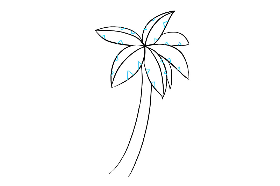 棕榈树怎么画-图6