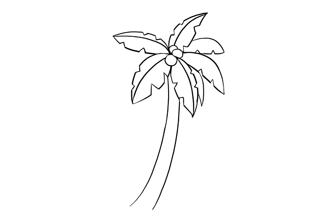 棕榈树怎么画-图8