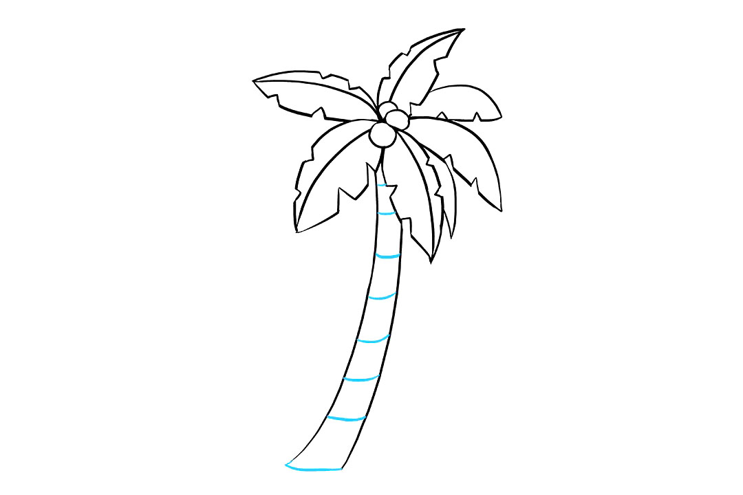 棕榈树怎么画-图9