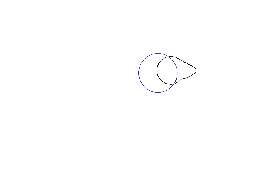 如何画大老鼠-图5