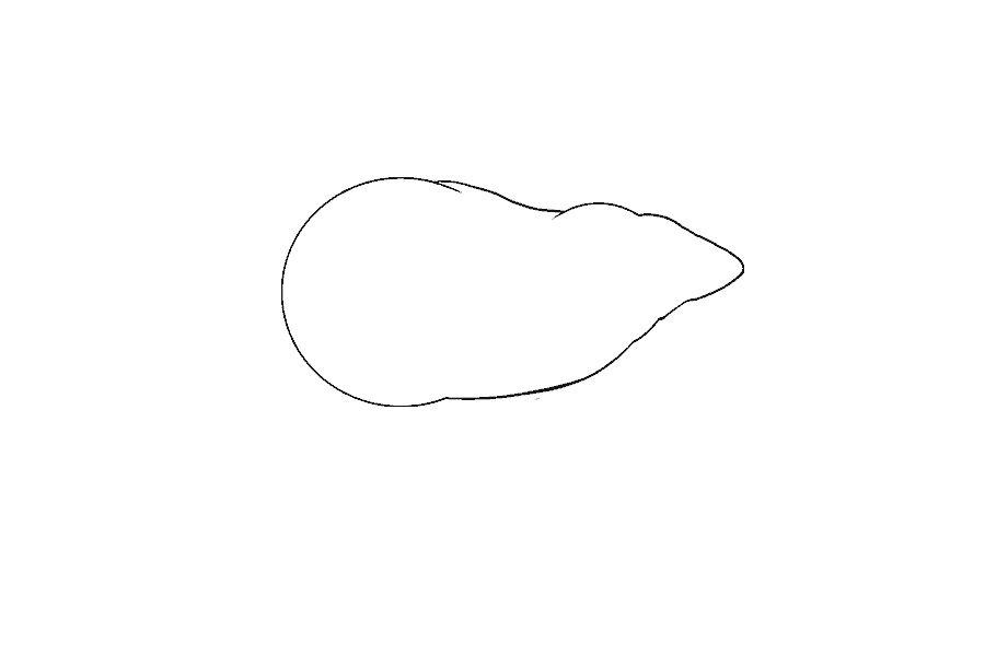 如何画大老鼠-图8