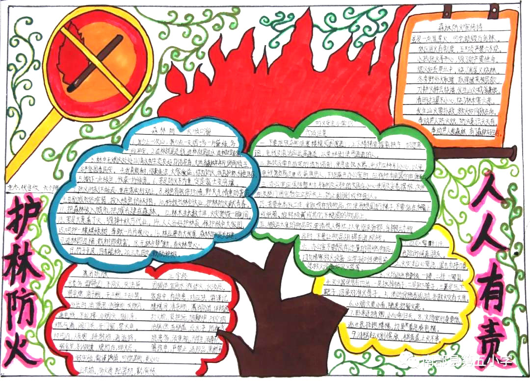 小学生森林防火手抄报图片-图4