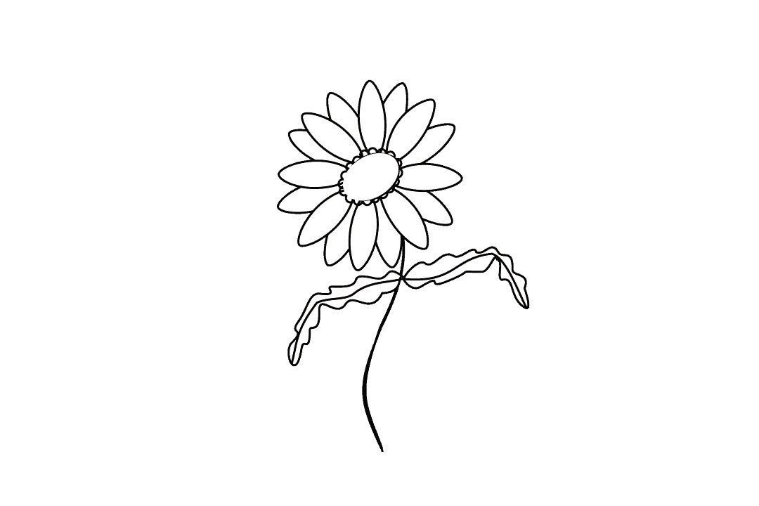 如何画雏菊花-图9