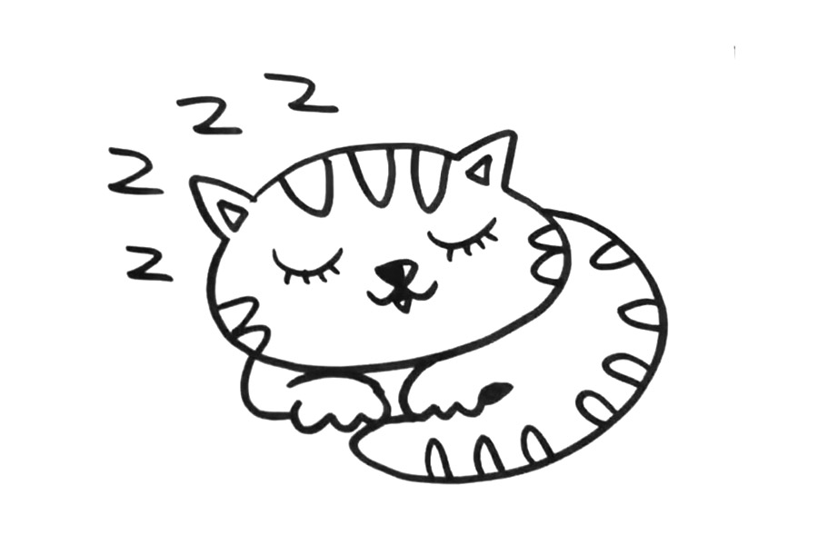 睡觉的小猫咪怎么画-图5