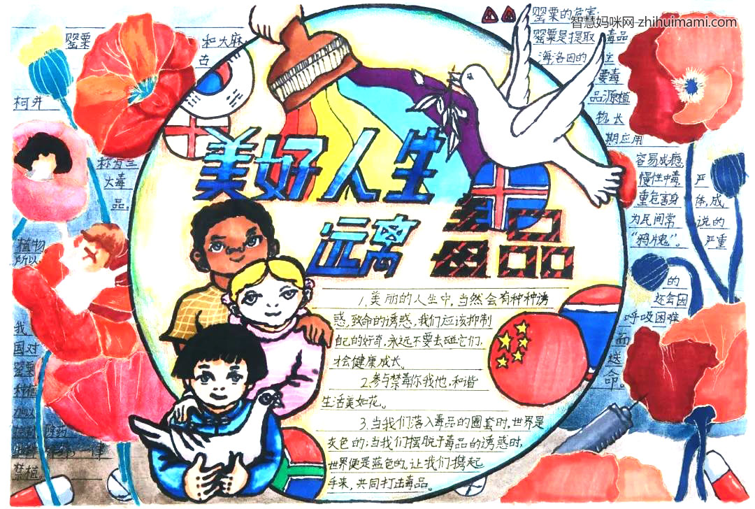 7张关于远离毒品的手抄报-图2