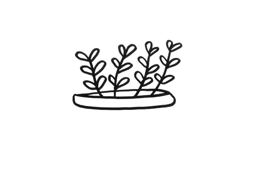 可爱盆栽绿植怎么画-图3