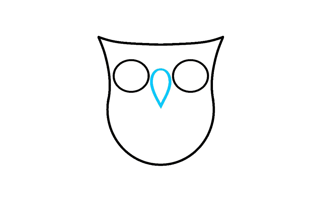 卡通猫头鹰怎么画-图4