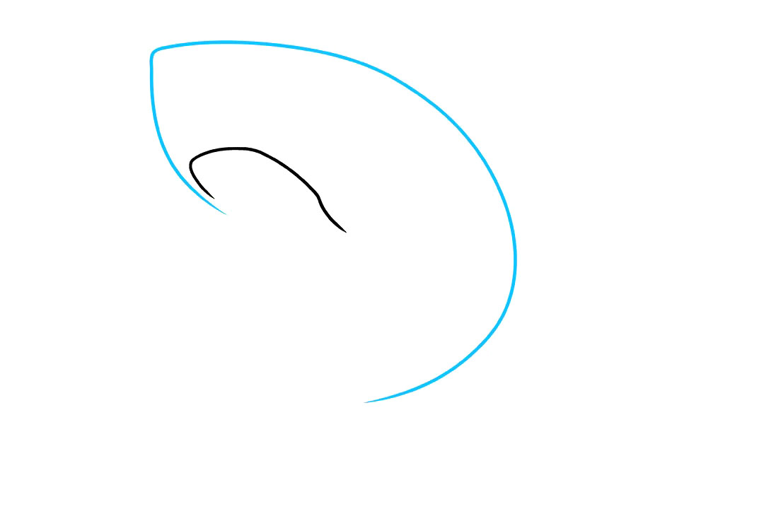 大白鲨怎么画-图2