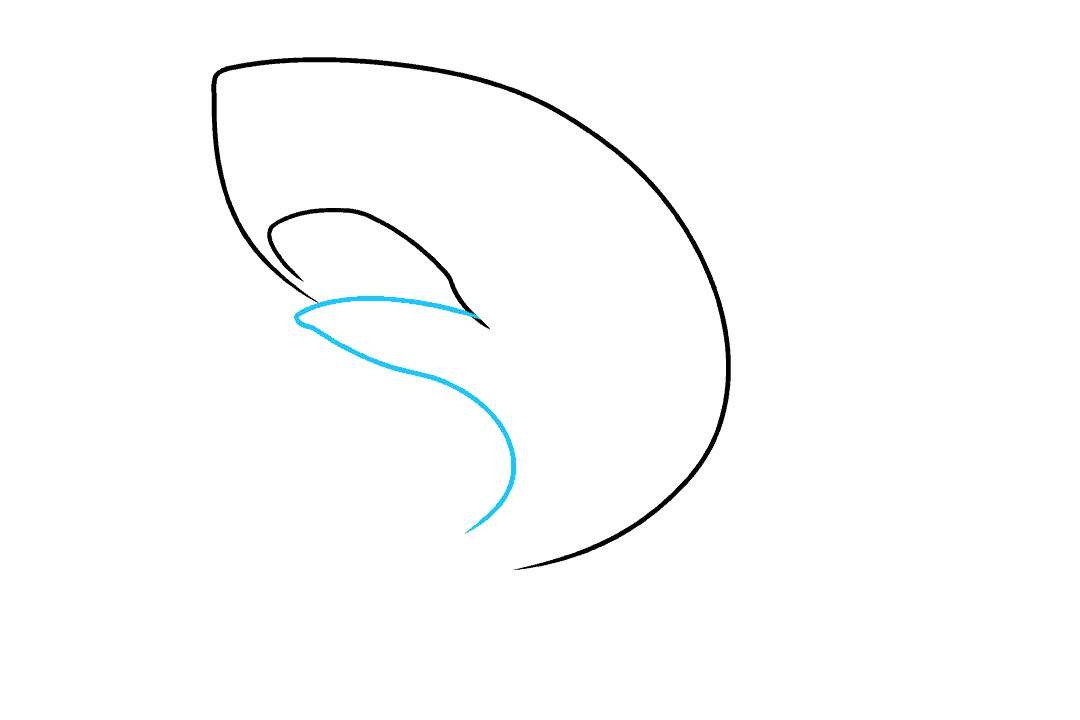 大白鲨怎么画-图3