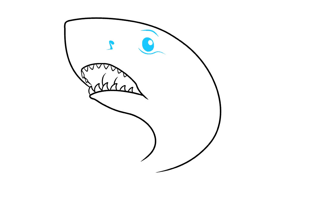 大白鲨怎么画-图5