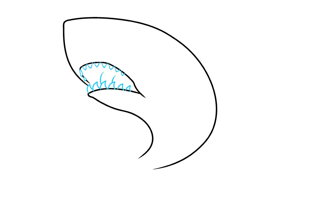 大白鲨怎么画-图4