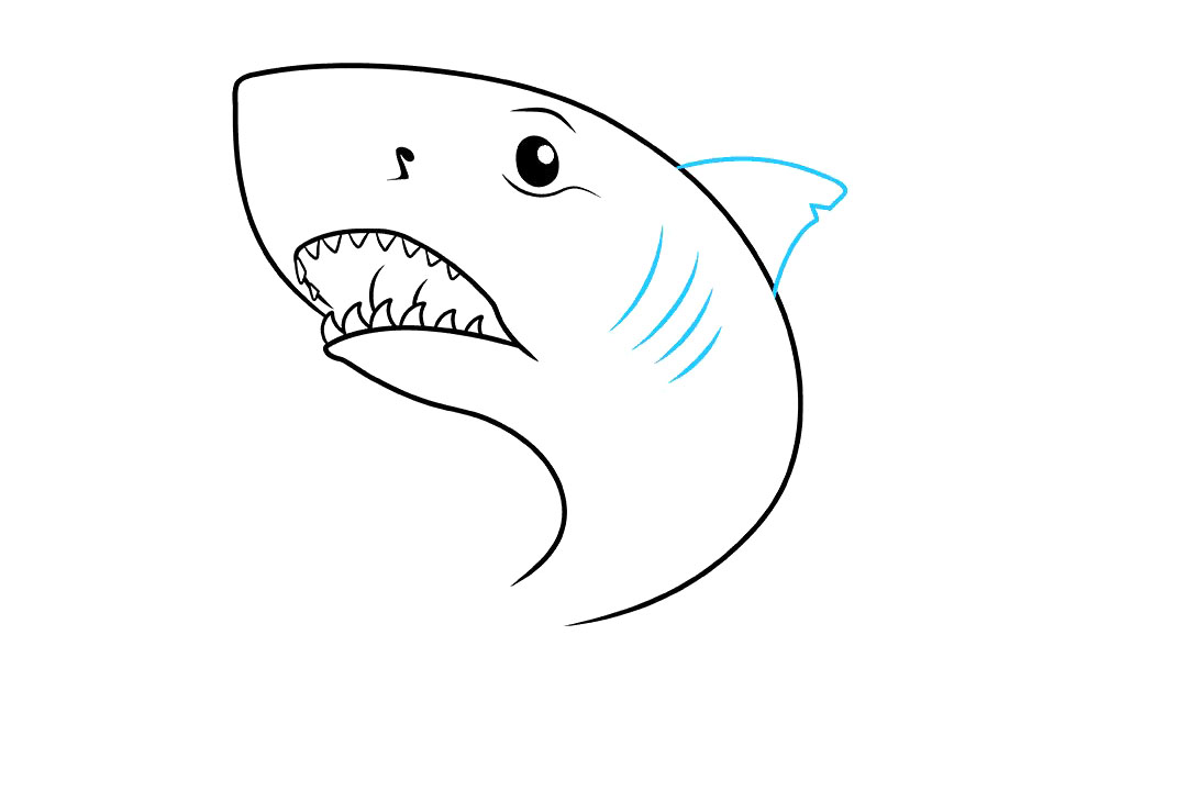 大白鲨怎么画-图6
