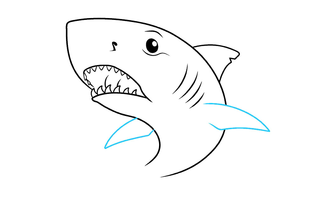 大白鲨怎么画-图7