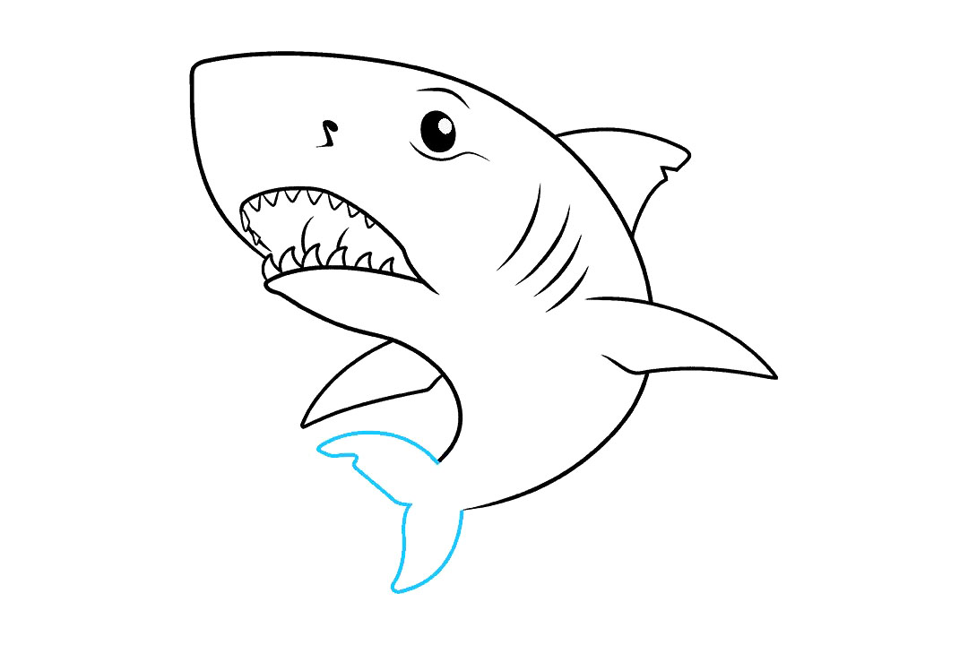 大白鲨怎么画-图8