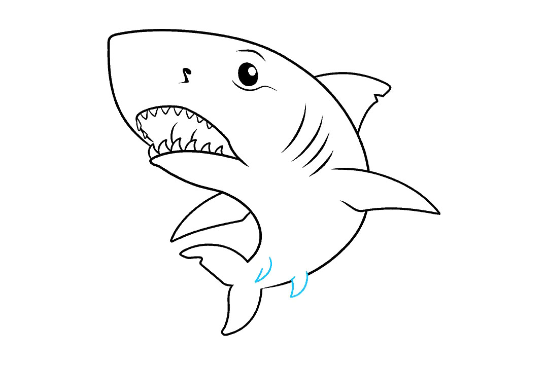 大白鲨怎么画-图9