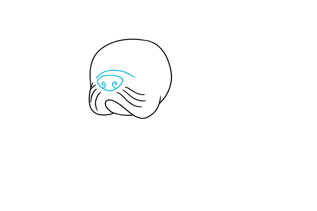 如何画一只可爱的法国斗牛犬-图3