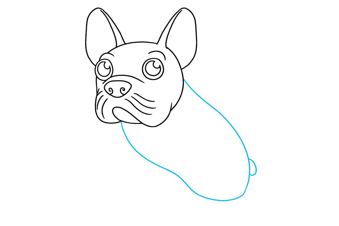 如何画一只可爱的法国斗牛犬-图5