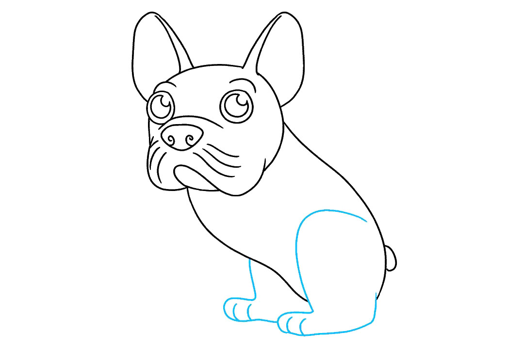 如何画一只可爱的法国斗牛犬-图6