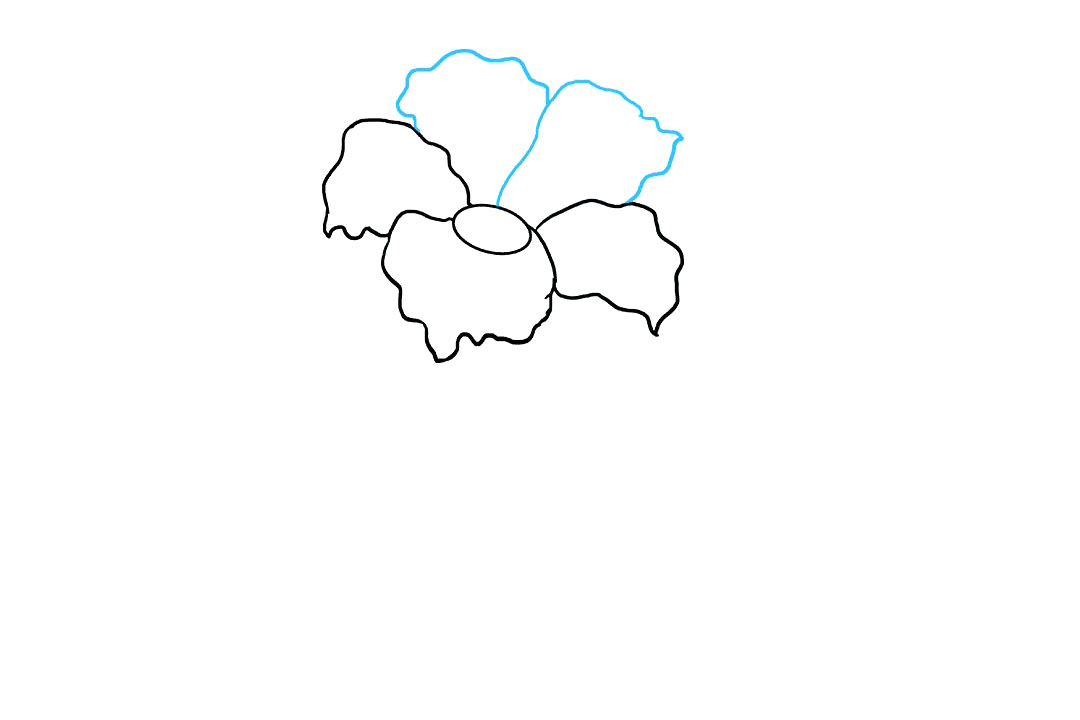 芙蓉花怎么画-图3