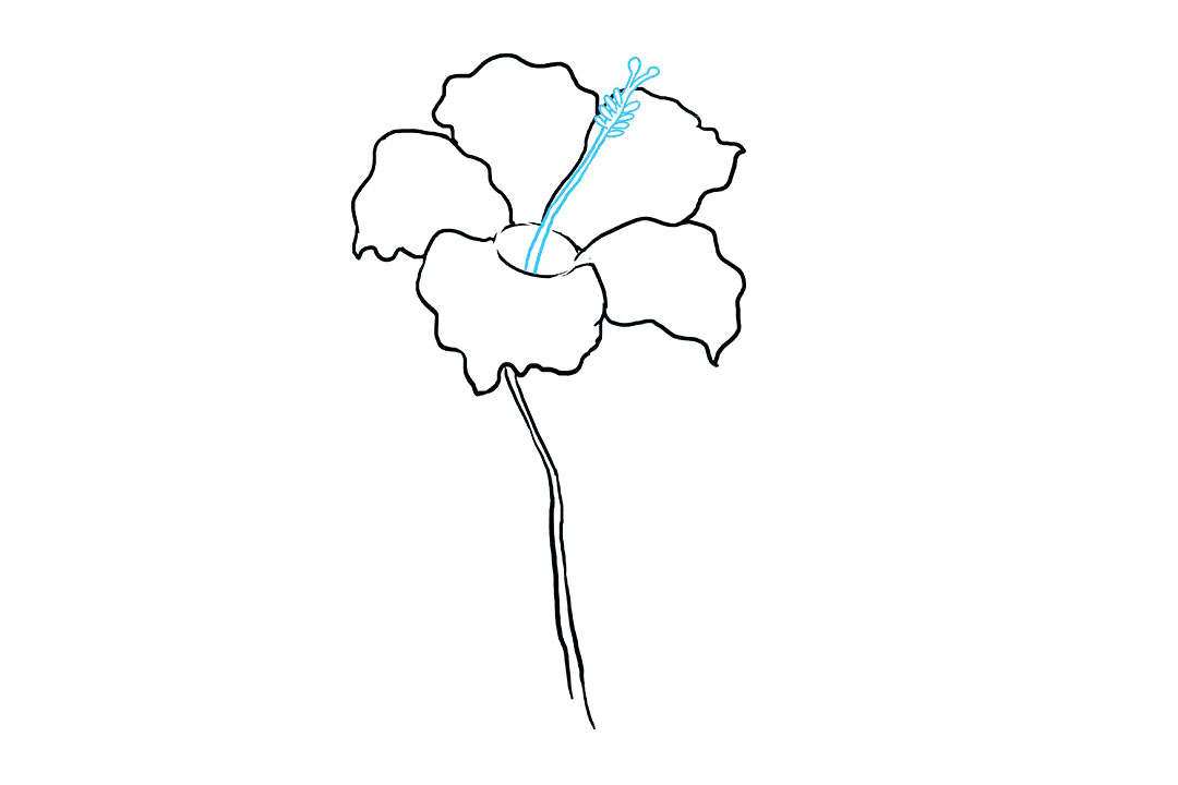 芙蓉花怎么画-图6