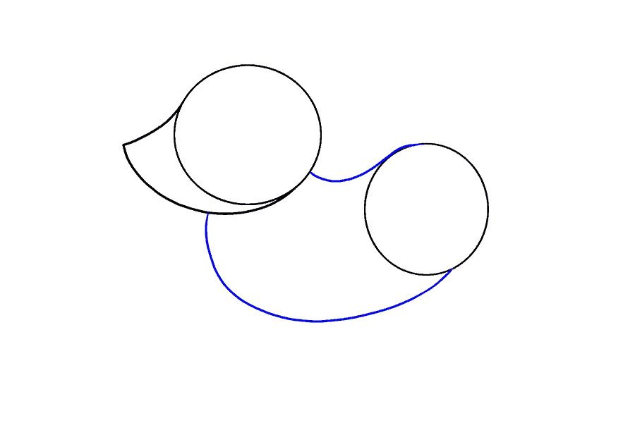 画可爱小狗的详细步骤-图4