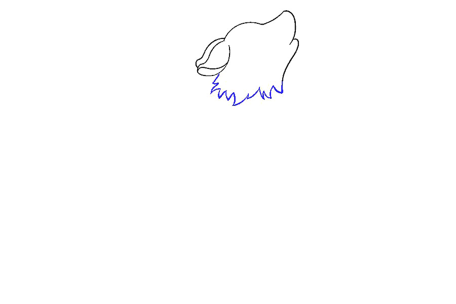 可爱小狼怎么画-图7