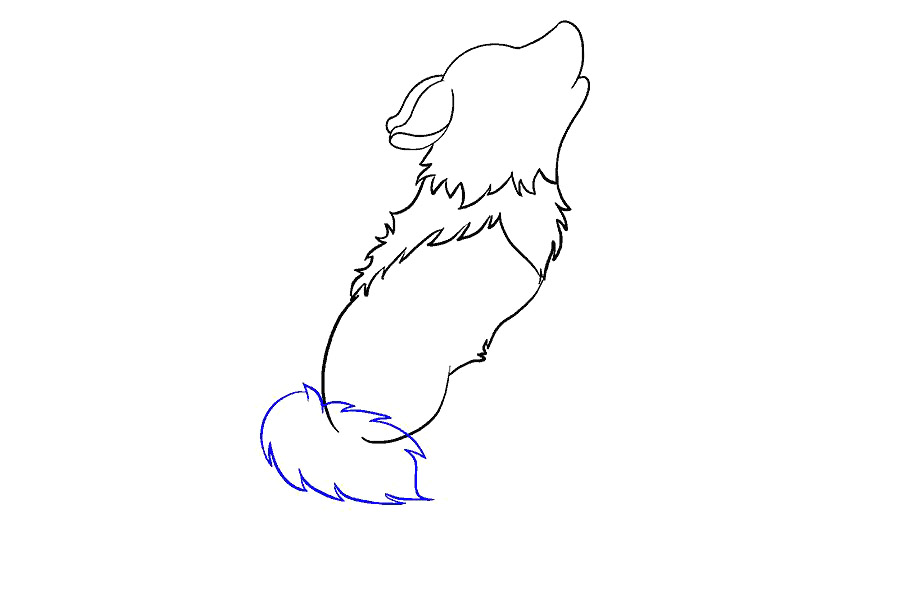 可爱小狼怎么画-图11