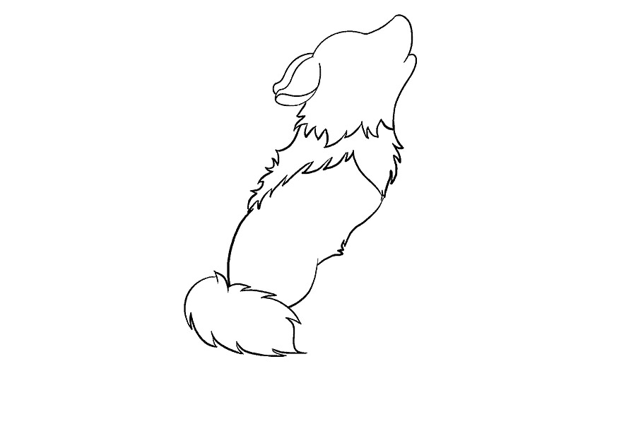 可爱小狼怎么画-图12