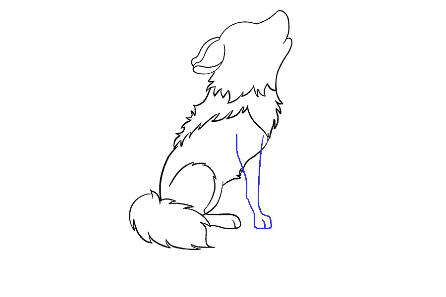 可爱小狼怎么画-图14