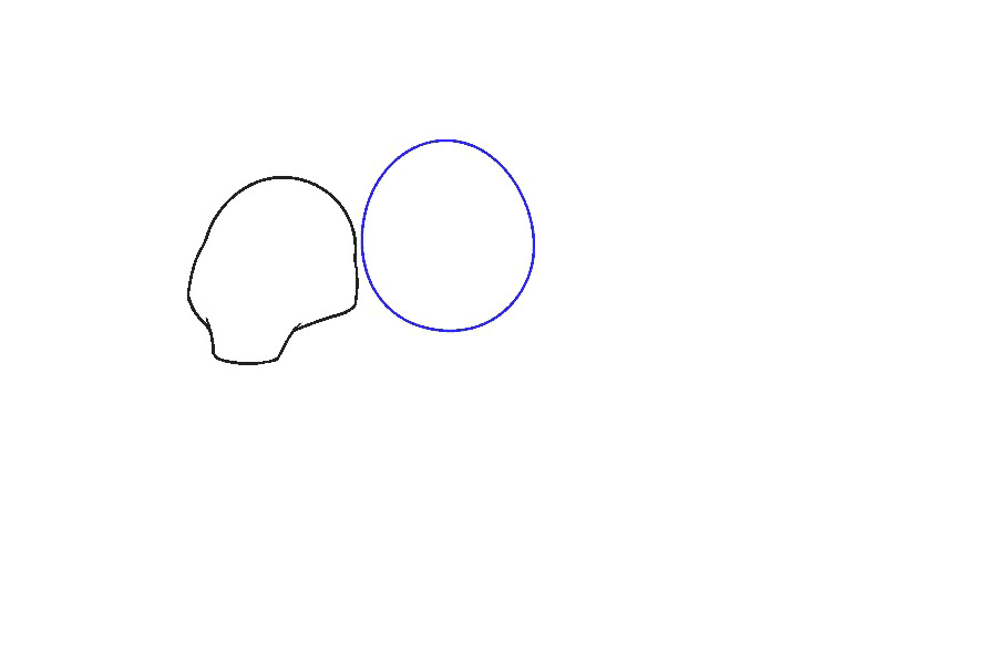 大老虎怎么画-图5