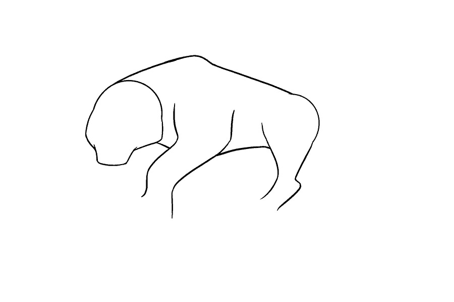 大老虎怎么画-图10