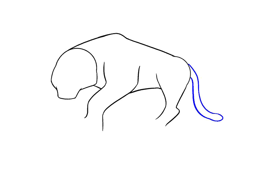 大老虎怎么画-图11