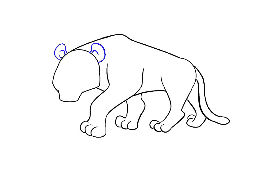 大老虎怎么画-图14