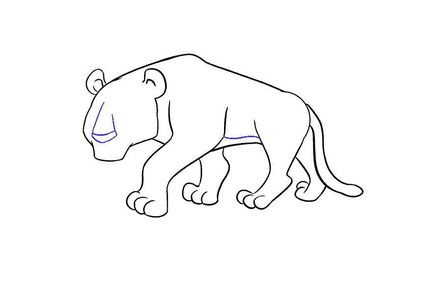大老虎怎么画-图15