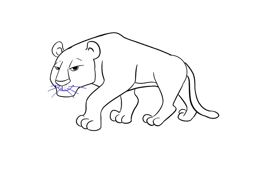 大老虎怎么画-图17