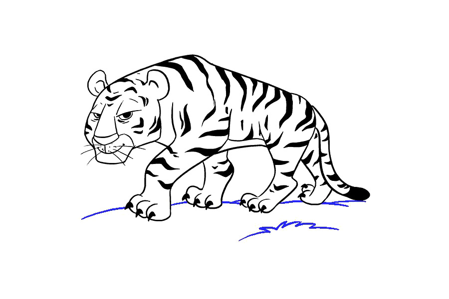 大老虎怎么画-图19