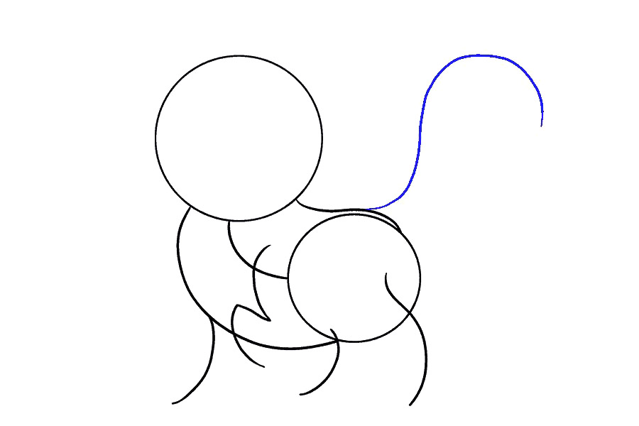 可爱小猫画法详细步骤-图5