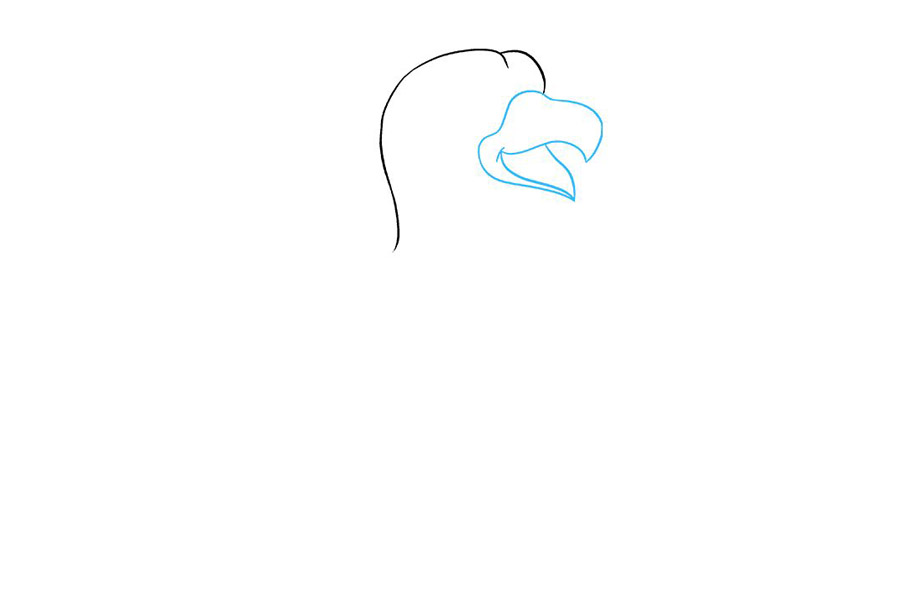 卡通老鹰怎么画-图2