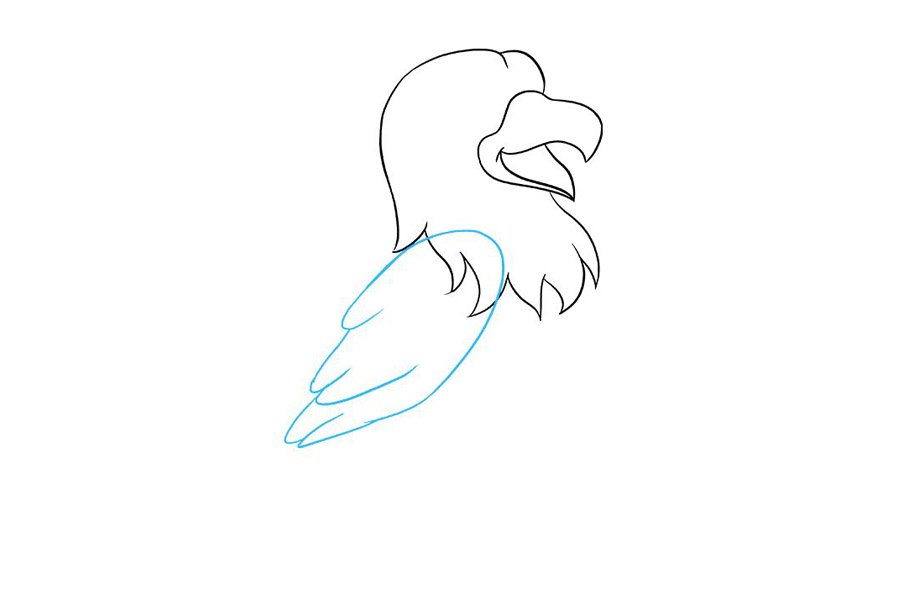 卡通老鹰怎么画-图4