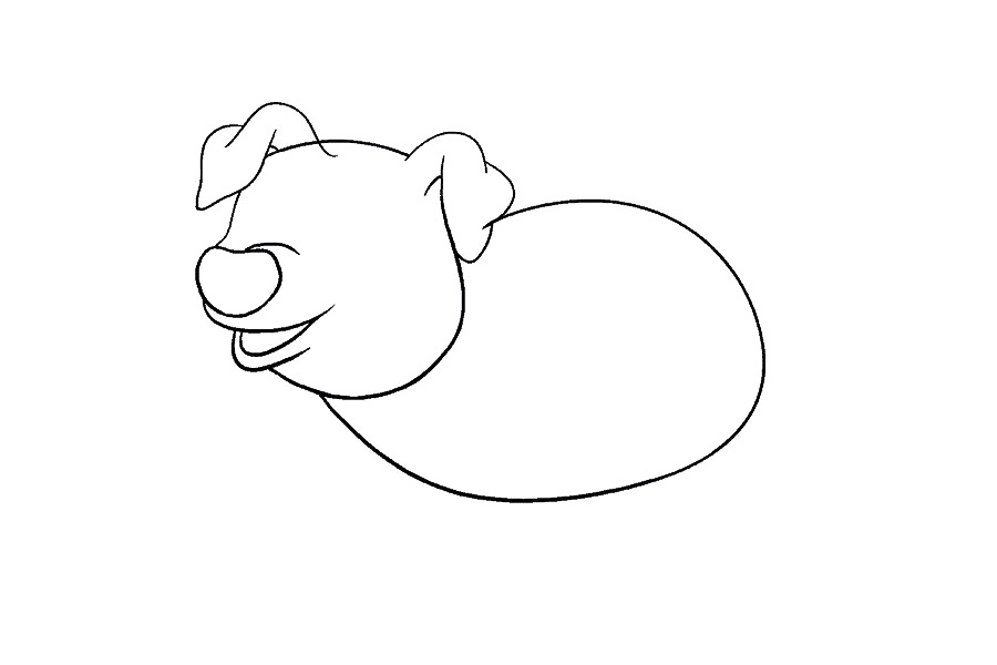 如何画猪-图10