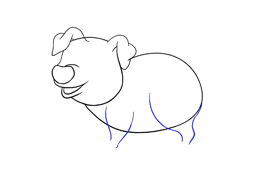 如何画猪-图11