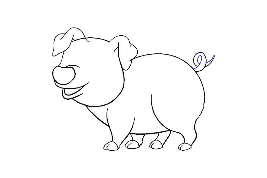 如何画猪-图16