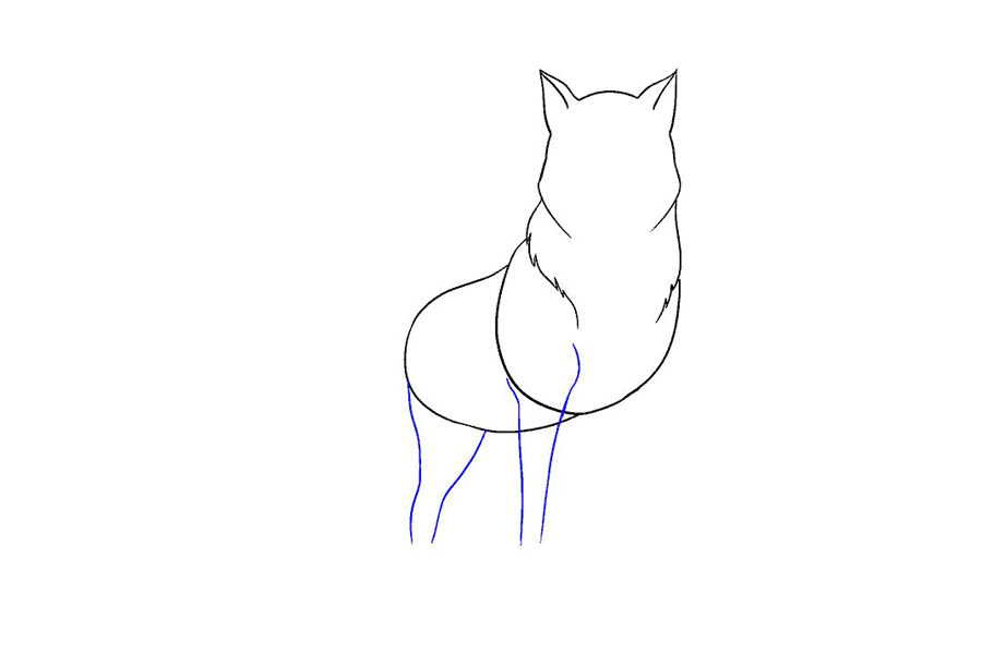 威严的狼怎么画-图8